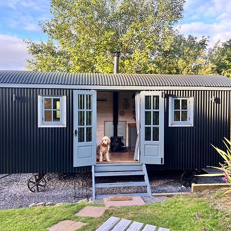 Вилла Mountain View Shepherd'S Hut For 2 Adults, 1 Dog Llangoed Экстерьер фото
